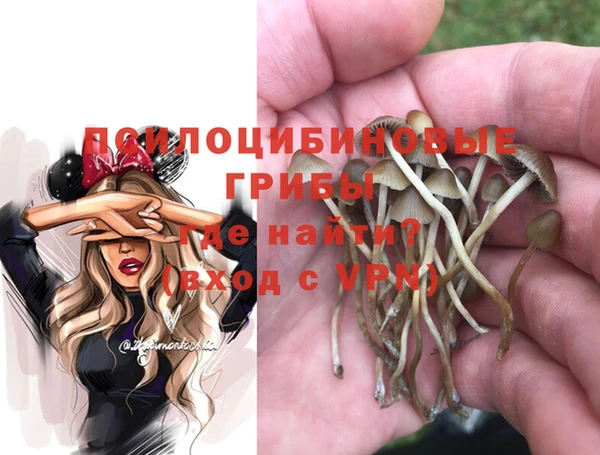 ГАЛЛЮЦИНОГЕННЫЕ ГРИБЫ Богородицк
