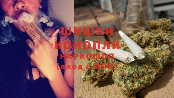 ECSTASY Богданович