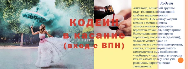ECSTASY Богданович